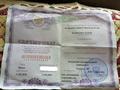 Найден сертификат в Гатчине 